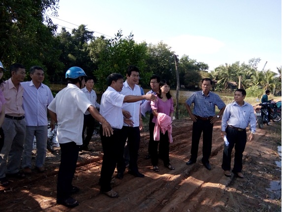 debao_23_11.jpg
