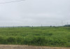 Thường trực HĐND tỉnh: Khảo sát các dự án có giao đất, cho thuê đất,  thu hồi đất, chuyển mục đích sử dụng đất trên địa bàn huyện Tân Châu