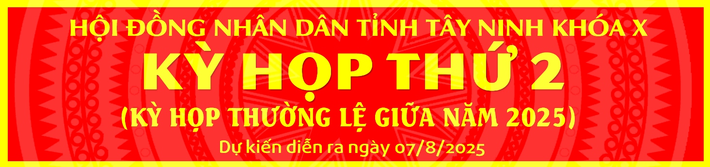 kỳ họp thứ 2 (kỳ họp lệ giữa năm 2025)